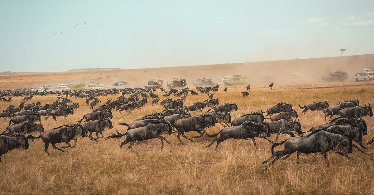 Step-by-step guide: Migration process from Klaviyo to HubSpot