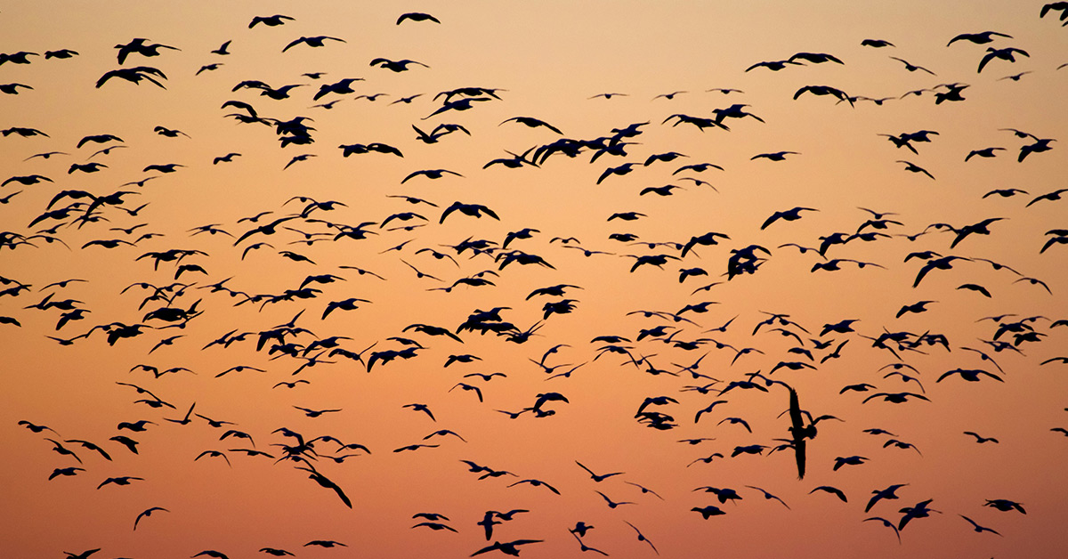 Step-by-step guide: Migration process from Pardot to HubSpot