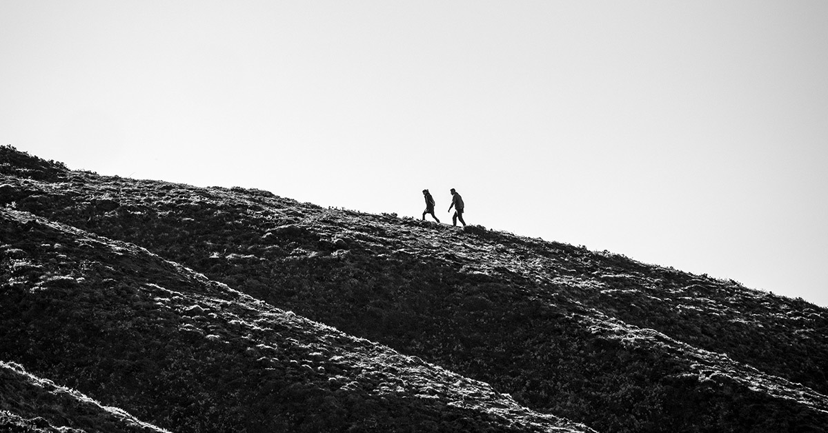 Scaling without chaos