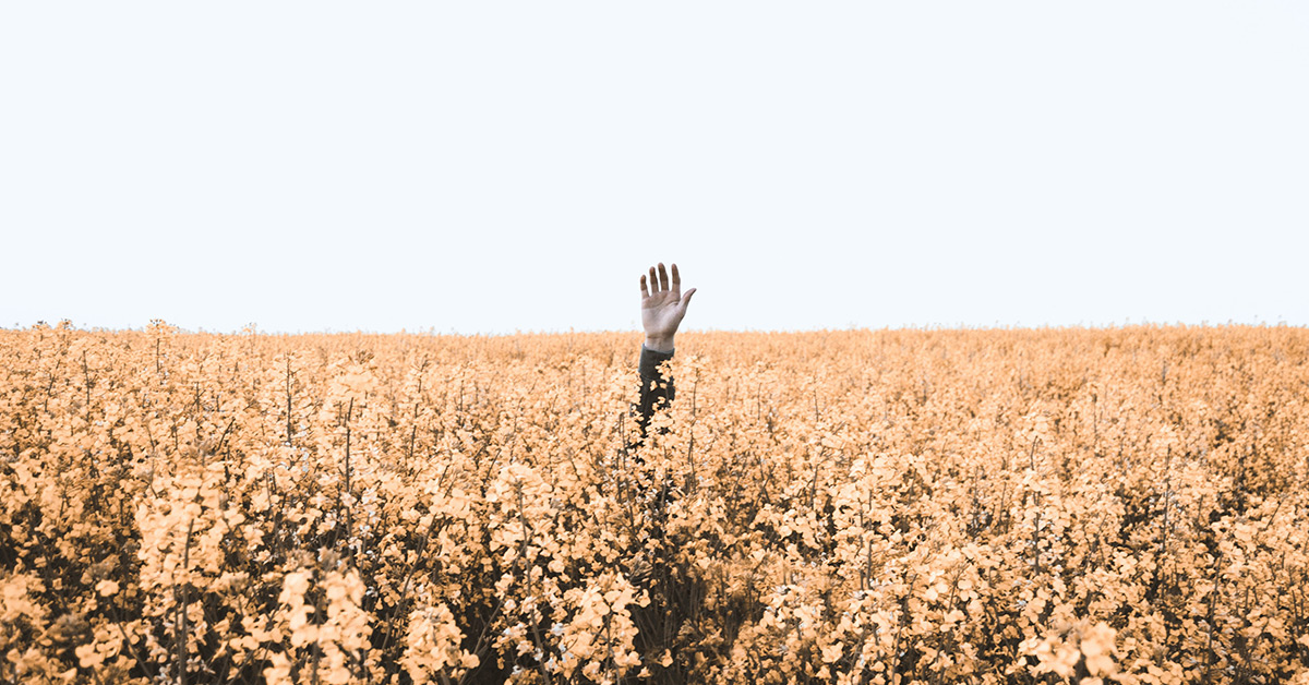 Sales teams are losing productivity to administration