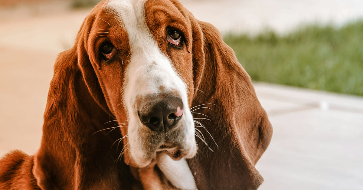 Why businesses must prioritise loyalty over acquisition