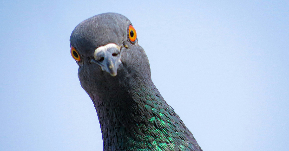 Better email performance begins with better customer understanding
